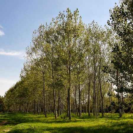 Masseria Giosole Капуа Екстериор снимка