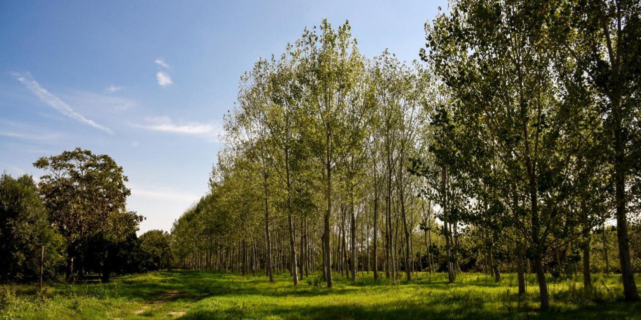 Masseria Giosole Капуа Екстериор снимка